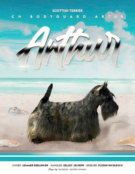arthurstacked Sire CH ARTUR & Dam CH Baki